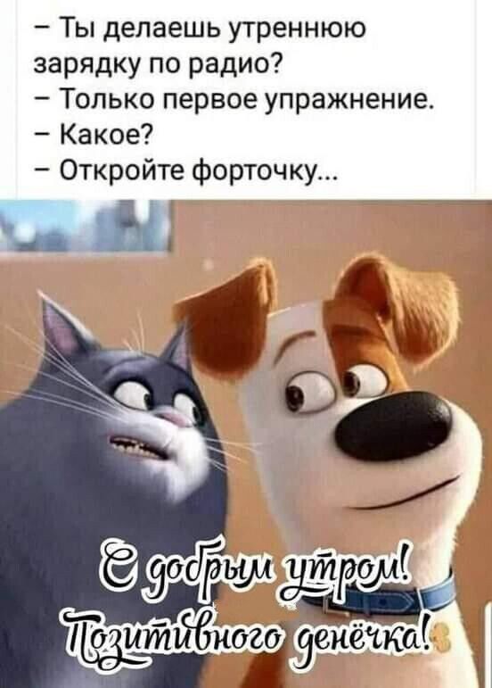 Ты делаешь утреннюю зарядку по радио Только первое упражнение Какое Откройте форточку 5 0 итйЁнсгЁгзенета
