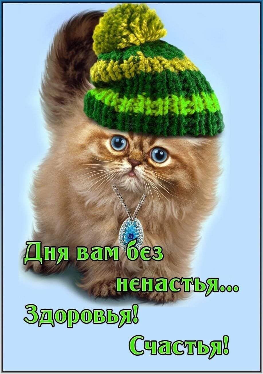 Эдж Стив пид