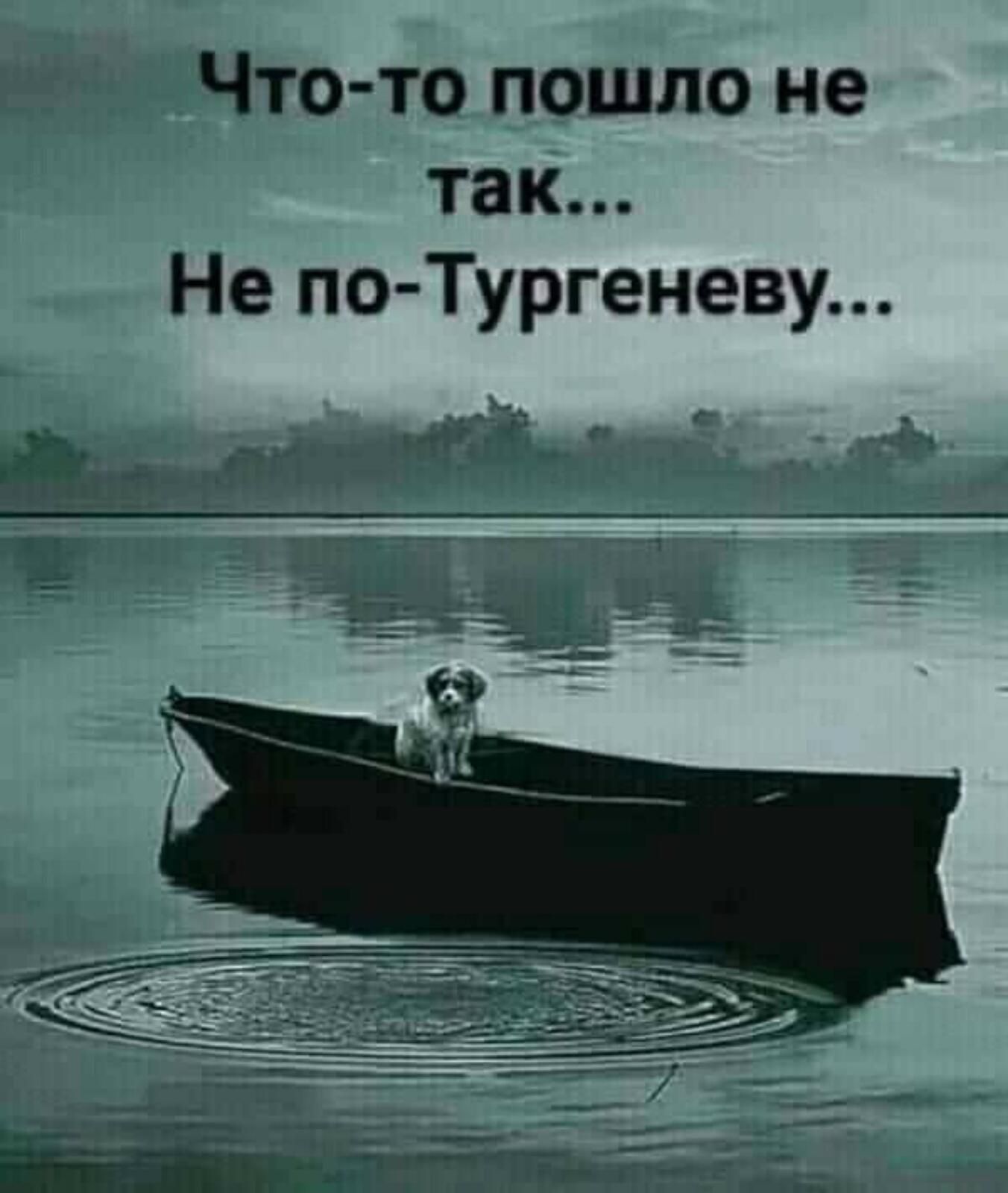 Что то пошло не так Не по Тургеневу