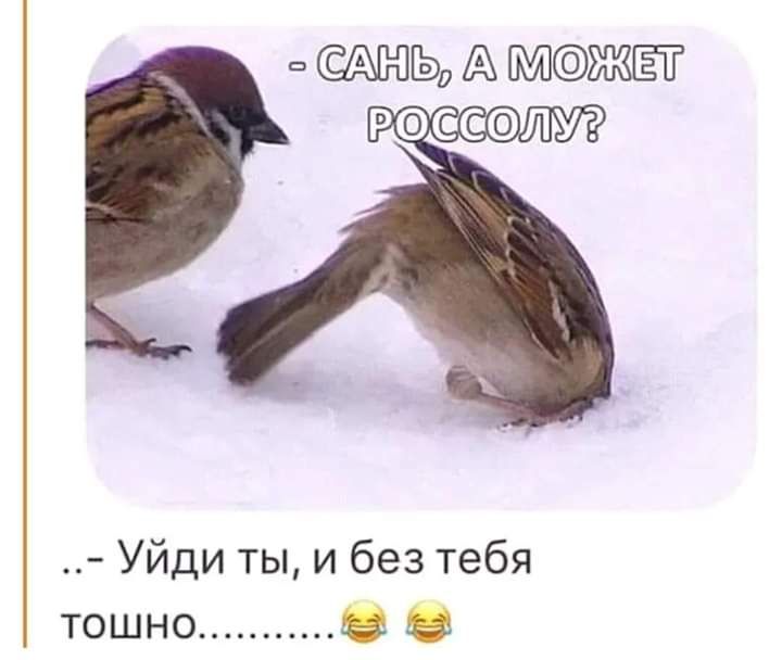 А ЖЁЁ Уйди ты и без тебя тошно О О