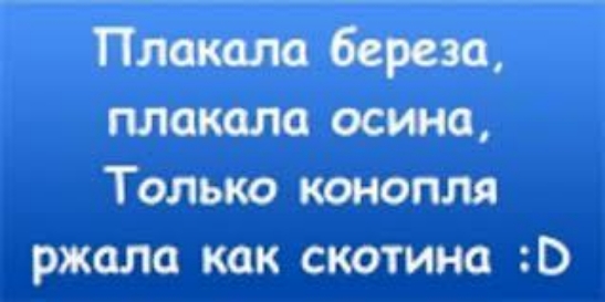 Плакат береза плакала осина Только конопля ржала как скотина О