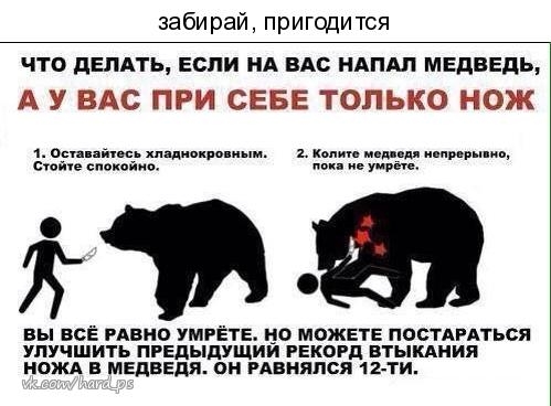 забирай пригодится что депдть если нд вм ндпдп медведь А У ВАС ПРИ СЕБЕ ТОЛЬКО НОЖ 1 Оси пціпвс хпідникпппипи _ Копии ищя пиры иш сюйче спокойно упрек вы ВСЁ РАВНО умгЁтЕ но можете ПОСТАРАТЬСЯ улучшить пРЕдыдУЩии РЕКОРД втыкдиия НОЖА в медведя он РАВНЯПСЯ 12 ти