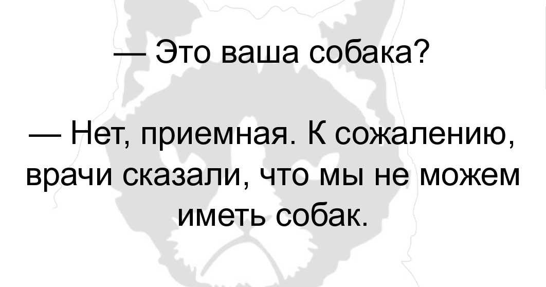 Это ваша собака Нет приемная К сожалению врачи сказали что мы не можем иметь собак