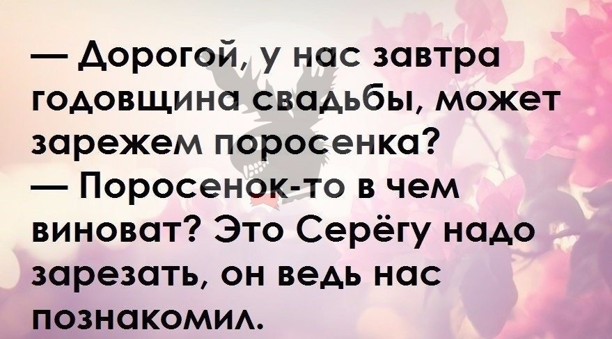 дорогой у нас завтра годовщина свадьбы может зарежем поросенка Поросенок то в чем виноват Это Серёгу надо зарезать он ведь нас познакомим