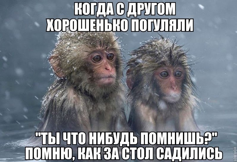 нпгдд другом когошъньип пппшнпи __Ьть что НИБУДЬ помнишь _ __ППМНЮ ШШ ЗА ВПШ ВАДИПИВЬ ша