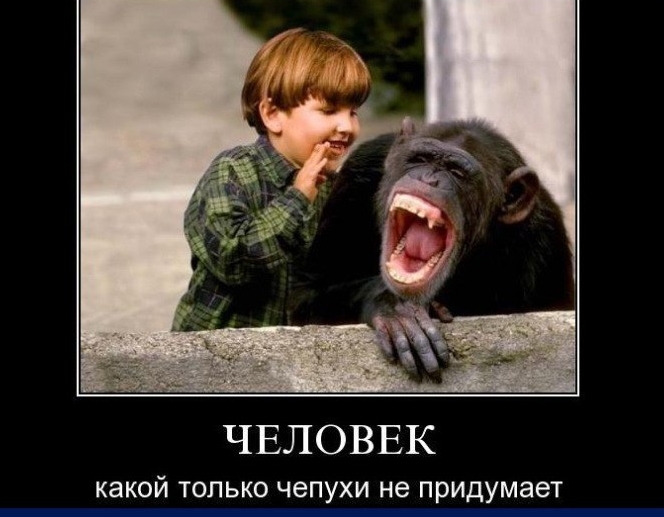 ЧЕЛОВЕК КЗКОЙ ТОЛЬКО чепухи не придумает