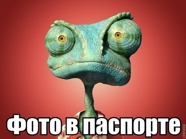 Фотов паспорте