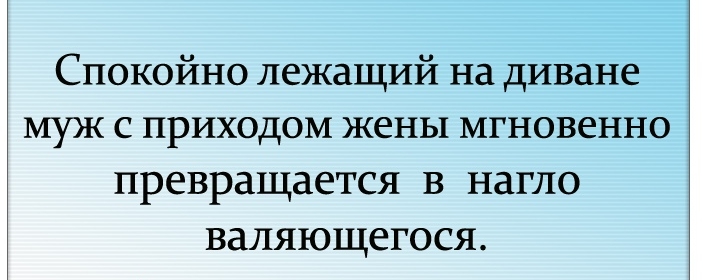 Спокойно лежащий на диване МУЪК С ПРИХОДОМ жены МГНОВеННО превращается в нагло валяющегося