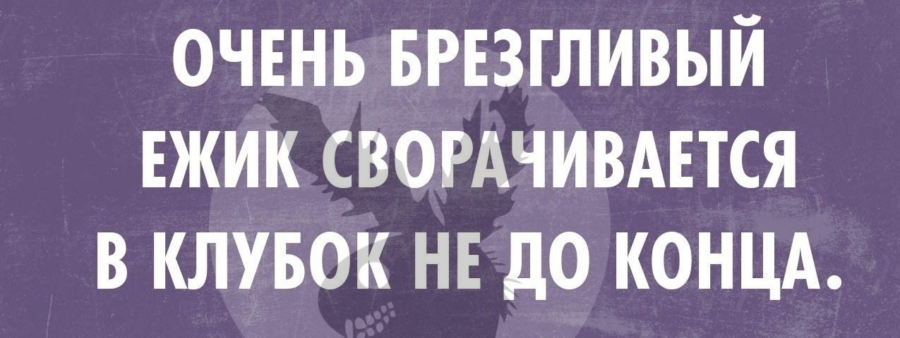 ОЧЕНЬ БРЕЗГЛИВЫЙ ЕЖИК СВОРАЧИВАЕТСЯ В КЛУБОК НЕ до КОНЦА