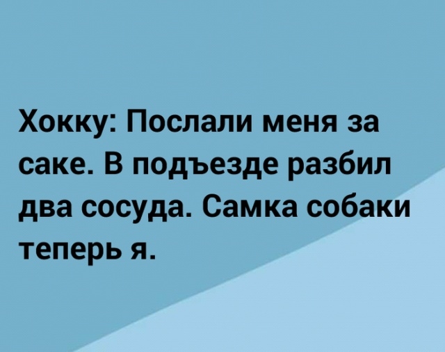 Хокку Послали меня за саке В подъезде разбил два сосуда Самка собаки теперь я