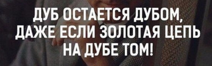 дУБ ОСТАЕТСЯ дУБОМ дАЖЕ ЕСЛИ ЗОЛОТАЯ ЦЕПЬ НА дУБЕ ТОМ