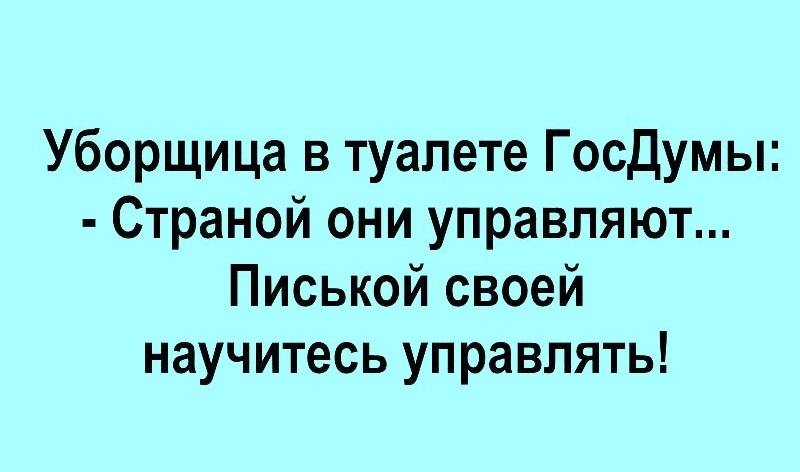 Уборщица в туалете Госдумы Страной они управляют Писькой своей научитесь управлять