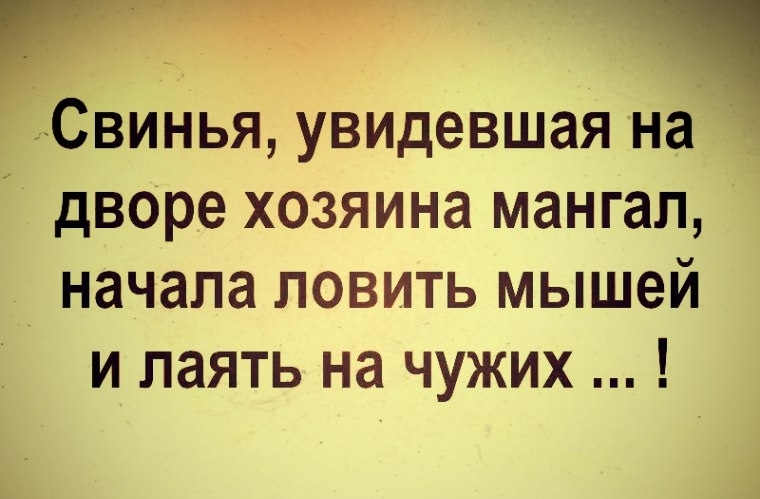 Свинья увидевшая на дворе хозяина мангал начала ловить мышей и паять на чужих
