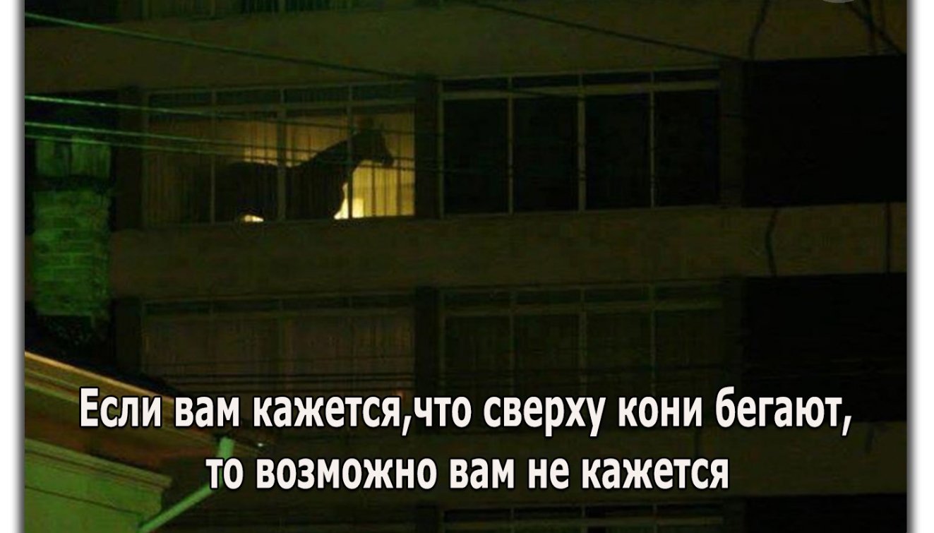 _ 12 Есливам кажетсячто сверху кони бегают _то возможно вам не кажется