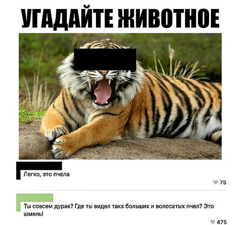 УПЩАЙТЕ ЖИВЩНПЕ Легко зто пчела Ты совсем дурак Где ты видел такх больших и волосатых пчел Это шмель гг 75 475