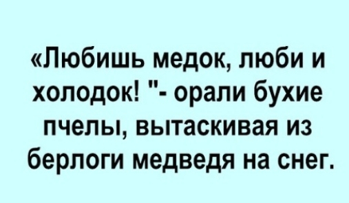 Любишь медок люби и холодок орали бухие пчелы вытаскивая из берлоги медведя на снег