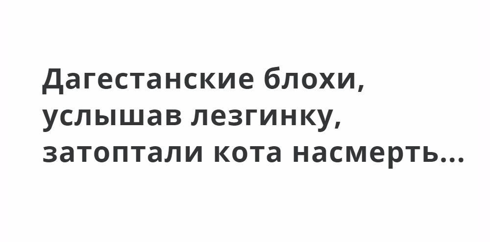 дагестанские блохи услышав лезгинку затоптали кота насмерть