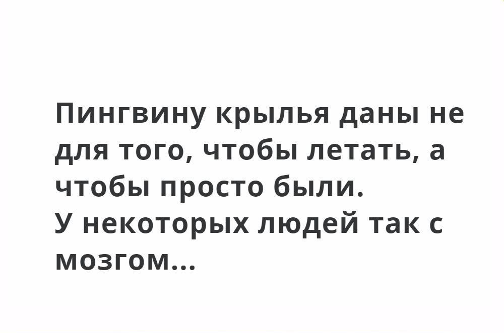 Пингвину крылья даны не для того чтобы летать а чтобы просто были У некоторых людей так с мозгом