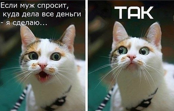 Если муж спросит куда дела все деньги я йе