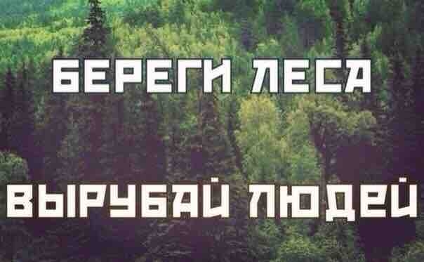 Во оя Теое ВЫРУБЯЦ ПЮДЕей