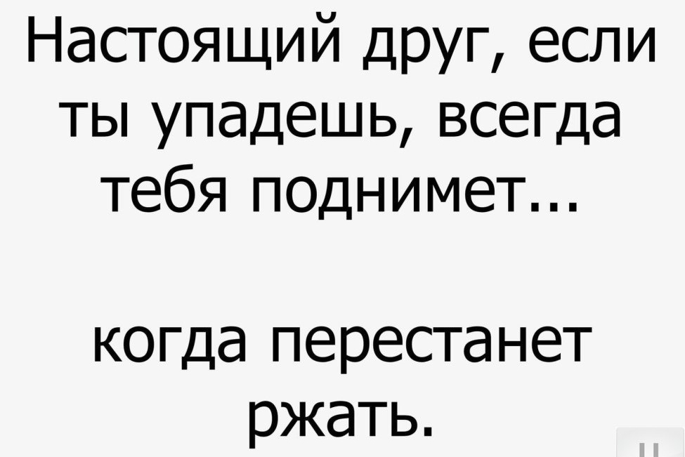 Настоящий друг если ты упадешь всегда тебя поднимет когда перестанет ржать