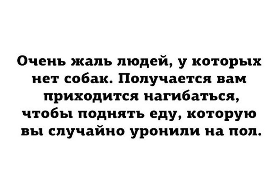 Очень жаль людей у которых нет собак Получается вам приходится нагибаться чтобы поднять еду которую вы случайно уронили на пол