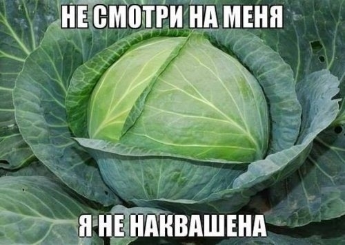 ЁЁЩНЙНВАШША Ё