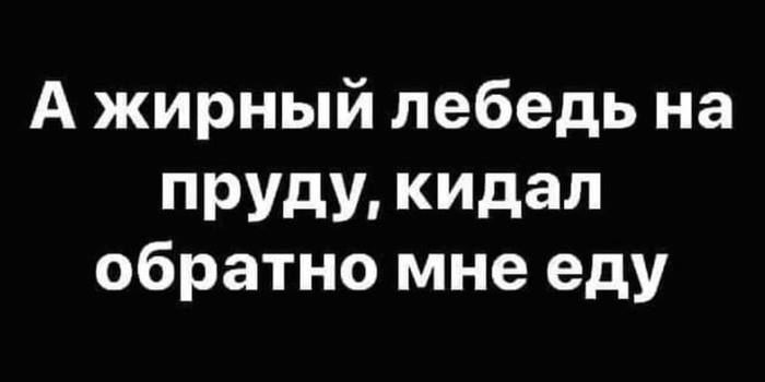 А жирный лебедь на пруду кидал обратно мне еду