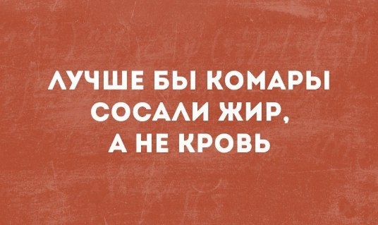 АУЧШЕ БЫ КОМАРЫ СОСААИ ЖИР А НЕ КРОВЬ