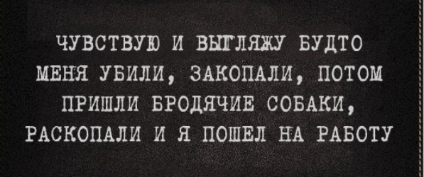 ЧУВСТВУЮ И ВЩЛЯЖУ БУДТО МЕНЯ УБИЛИ ЗАКОПАЛИ ПОТОМ ПРИШЛИ БРОДЯЧИЕ СОБАКИ РАСКОПАЛИ И Я ПОШЕЛ НА РАБОТУ