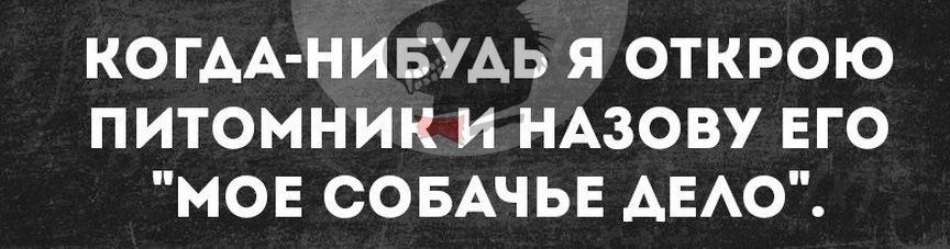 КОГАА НИБУАЬ Я ОТКРОЮ ПИТОМНИК И НАЗОВУ ЕГО МОЕ СОБАЧЬЕ АЕАО