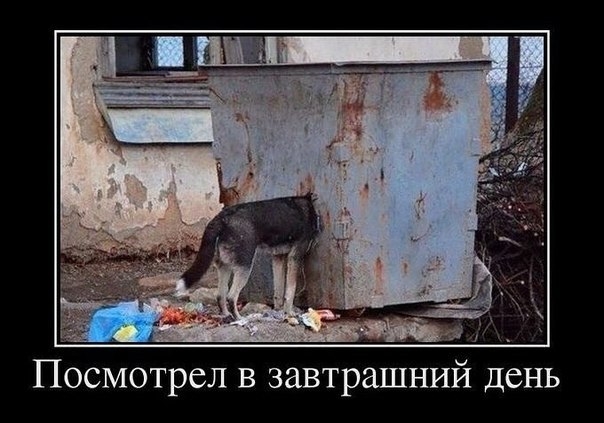 Посмотрел в завтрашний день