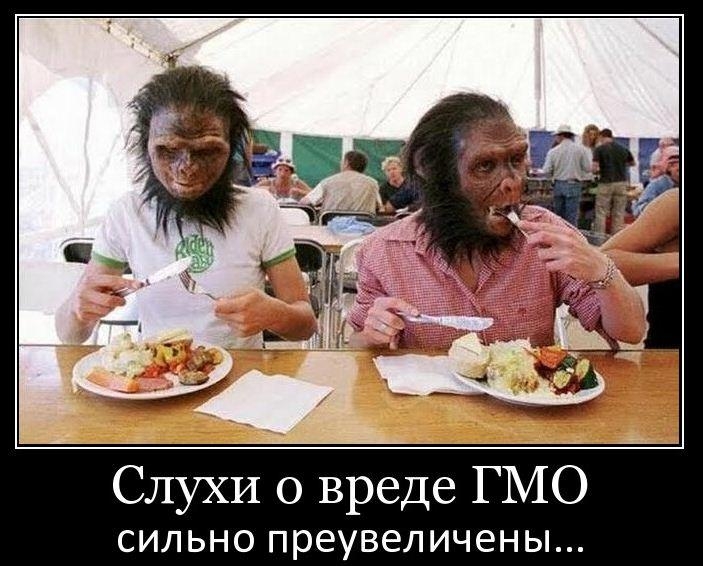 Слухи о вреде ГМО СИЛЬНО преувеличены