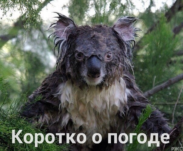 Коротко о погоде