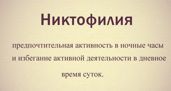Никтофилия предпочтительная активность в ночные часы и избегание активной деятельности в дневное время суток