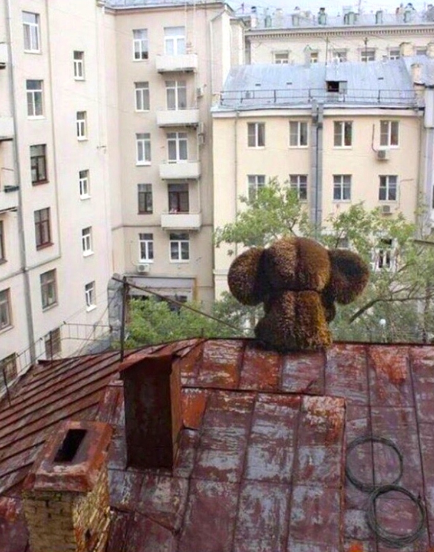 и