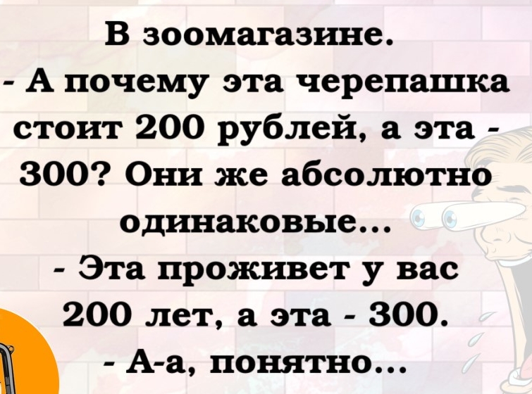 В зоомагазине А почему эта черепашка стоит 200 рублей а эта 300 Они же абсолютно одинаковые Эта проживет у вас 200 лет а эта 300 М А а понятно