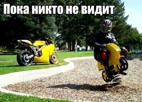 дока никто навидйт