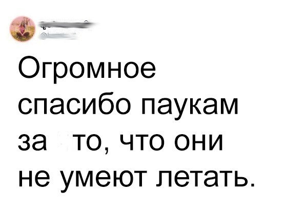 Огромное спасибо паукам за то что они не умеют летать