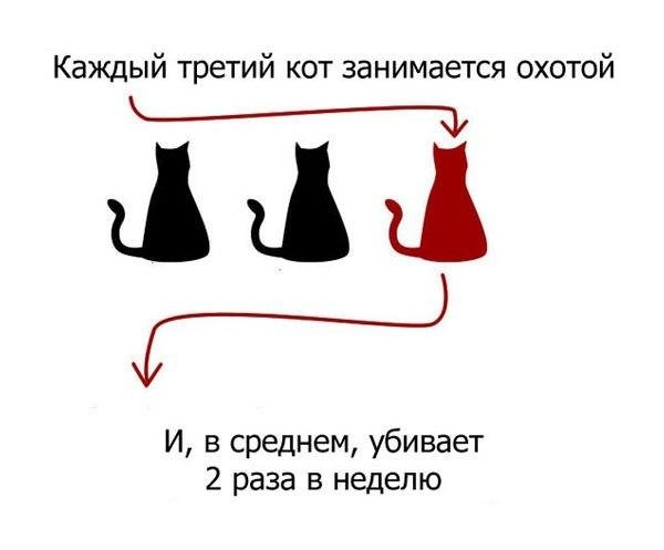 Каждый третий кот занимается охотой И в среднем убивает 2 раза в неделю