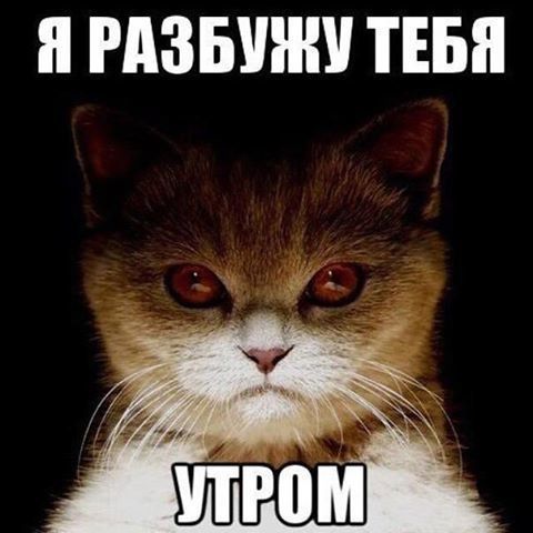 Я РАЗБУЖУ ТЕБЯ
