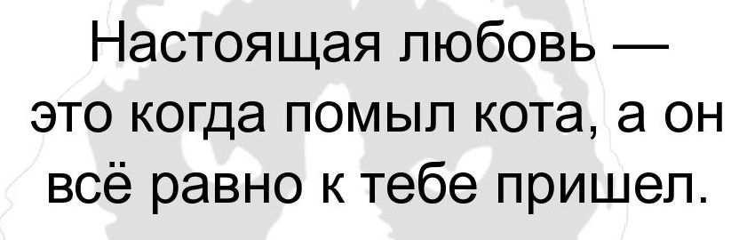 Настоящая любовь это когда помыл кота а он всё равно к тебе пришел