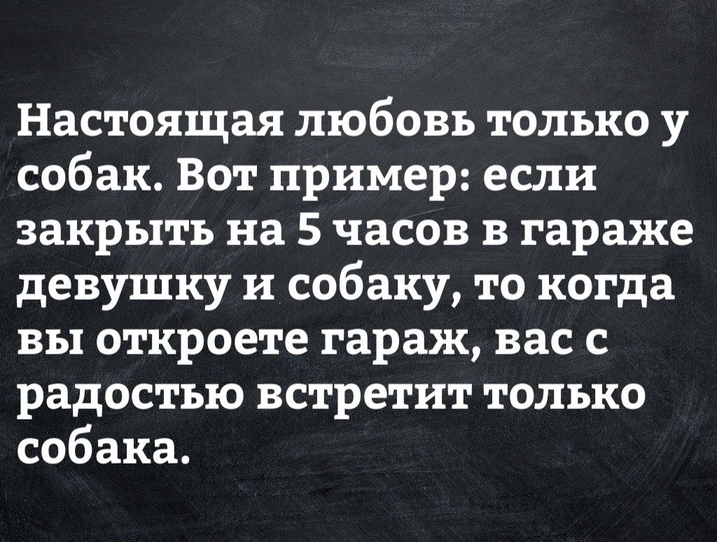 Настоящая любовь только у собак Вот пример если закрыть на 5 часов в гараже девушку и собаку то когда вы откроете гараж вас с радостью встретит только собака
