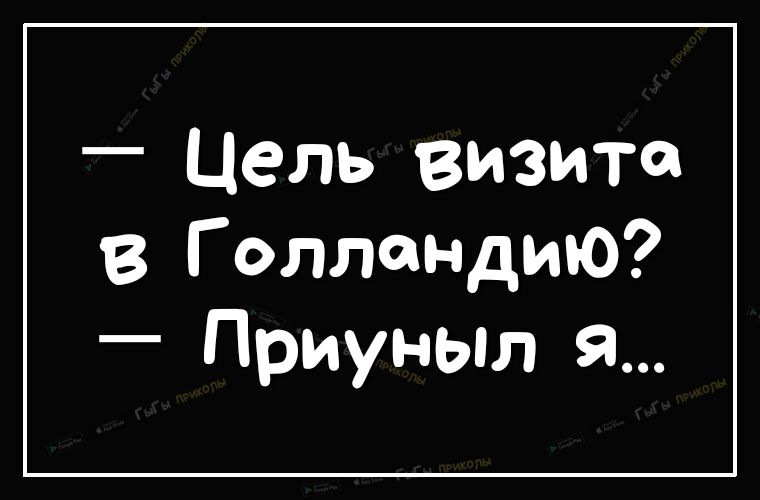 _ Цель визита в Голландию ПриуныЛ я
