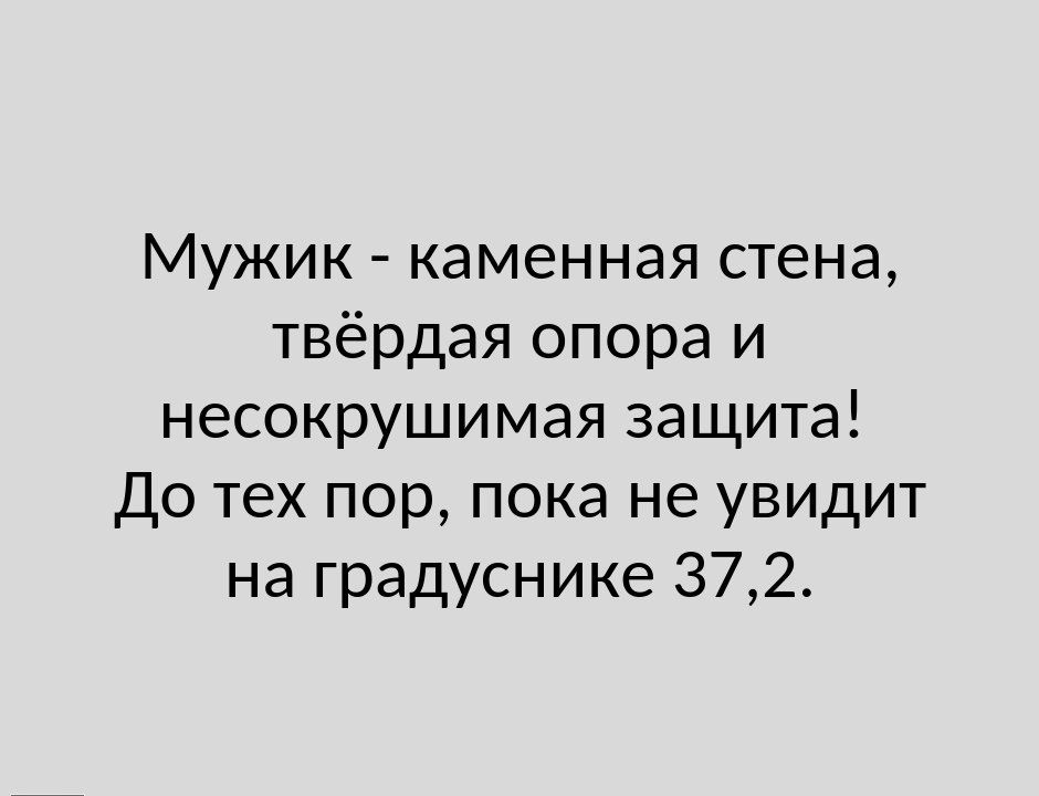 Мужик каменная стена твёрдая опора и несокрушимая защита До тех пор пока не увидит на градуснике 372