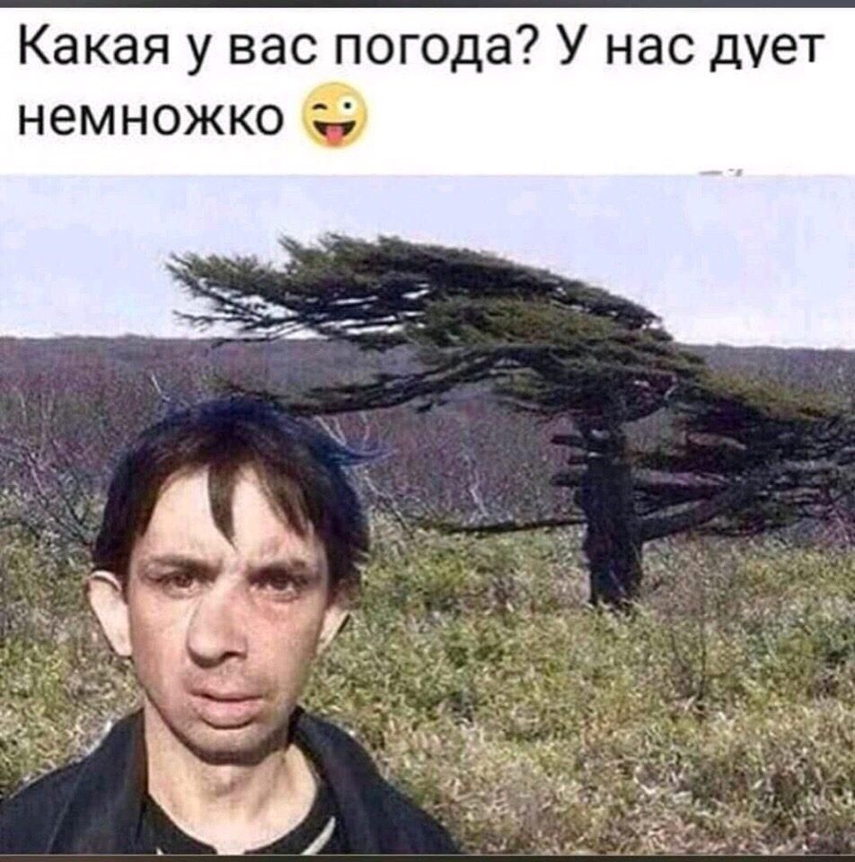 Какая у вас погода У нас дует немножко