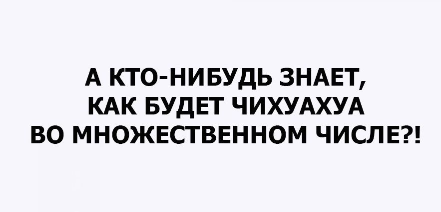 А КТО НИБУДЬ ЗНАЕТ КАК БУДЕТ ЧИХУАХУА ВО МНОЖЕСТВЕННОМ ЧИСЛЕ