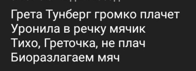 Грета Тунберг громко плачет Уронила в речку мячик Тихо Греточка не плач Биоразпагаем мяч