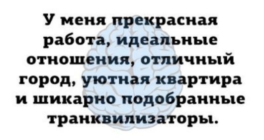 У меня прекрасная работа идеальные отношения отличный город уютная квартира и шикарно подобранные транквилизаторы