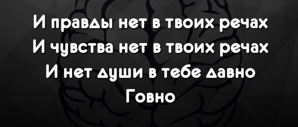 И правды нет в твоих речах И чувства нет в твоих речах И нет души в тебе Аавно Говно